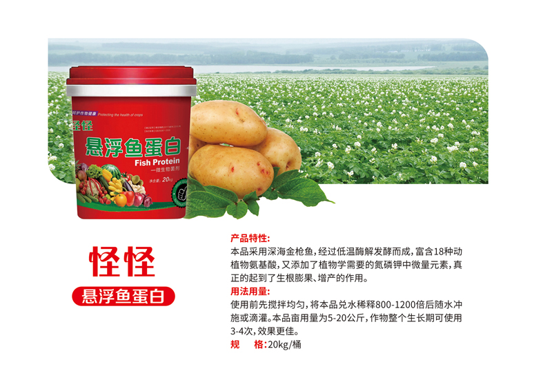 怪怪-悬浮鱼蛋白